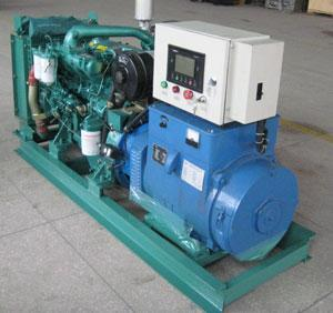 盐边发电机出租